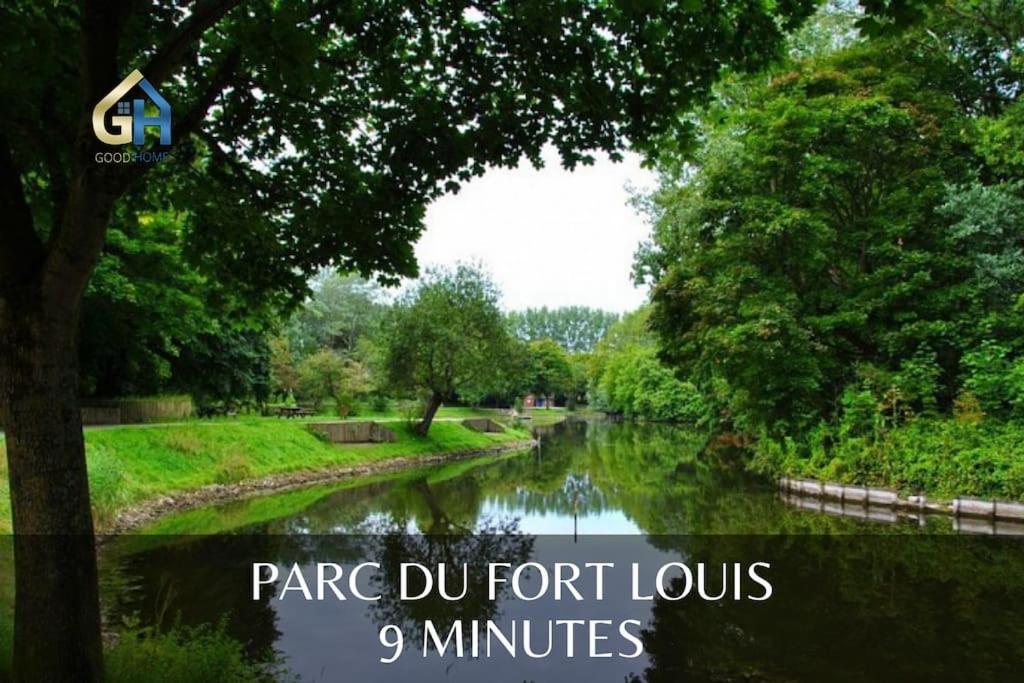 *L'Ecrin De Ronsard*Plage & Centre-Ville ダンケルク エクステリア 写真
